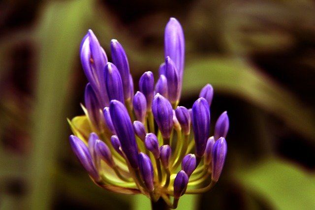 实的基础 实的基础