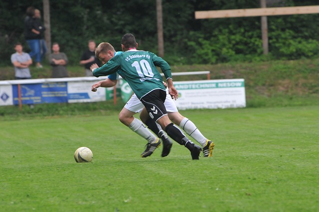 隊在常規賽 隊在常規賽