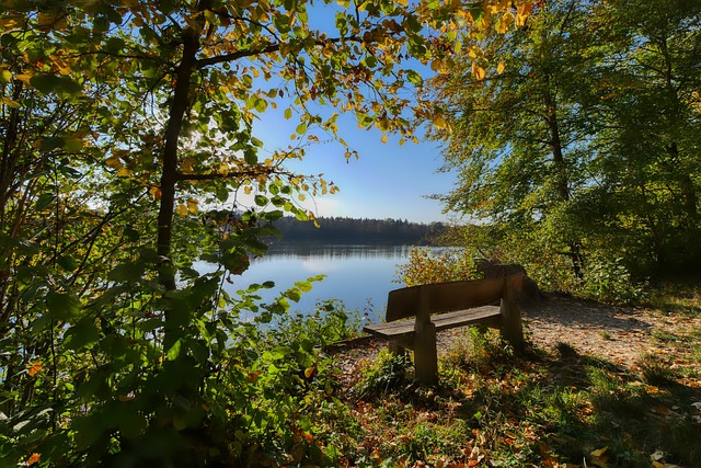 绕乔治所展 绕乔治所展