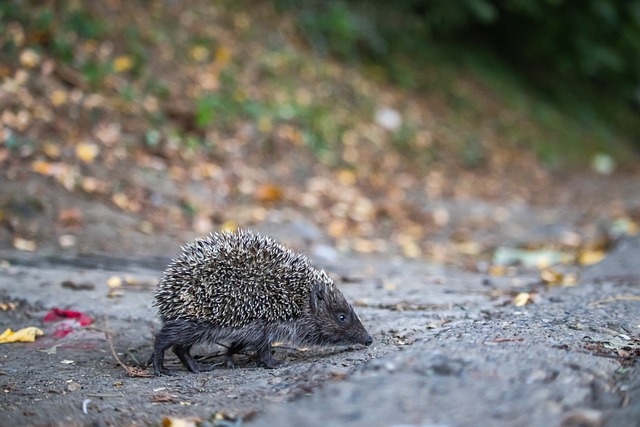 了宝贵的经 了宝贵的经