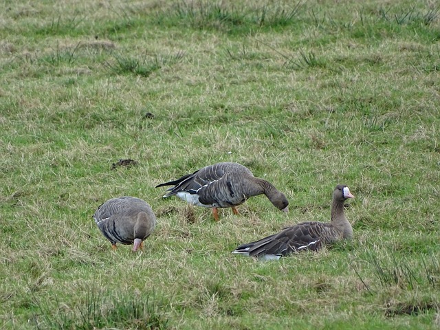 获胜的关键 获胜的关键