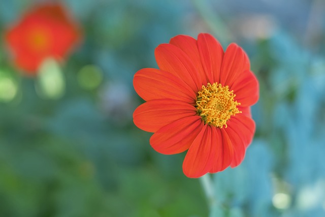 越的技術帶 越的技術帶