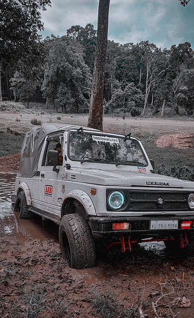 年正式上线 年正式上线