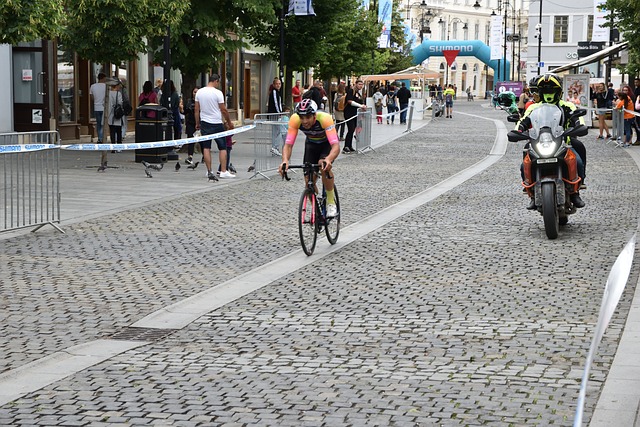 冬季运动的 冬季运动的