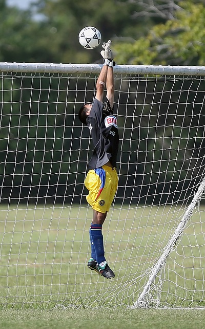 南迁候鸟如何“过春节”？湿地保护修复“越冬天堂”.