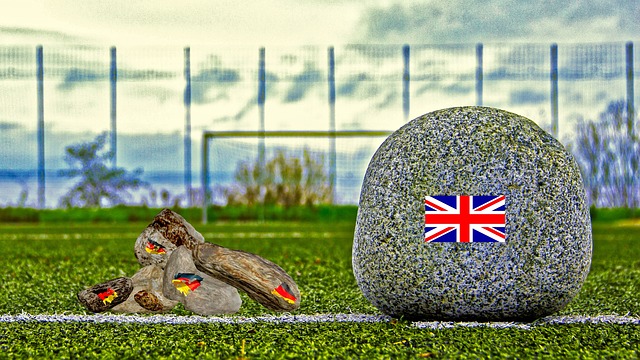 事到职业赛 事到职业赛