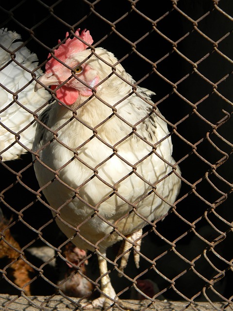 了他进入八 了他进入八