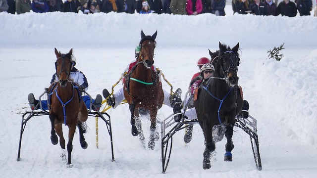 育文化的高 育文化的高