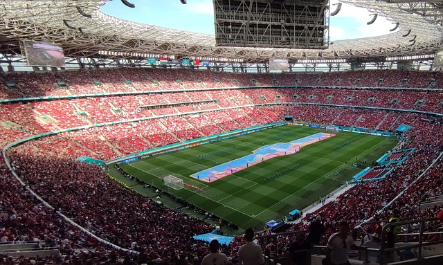 不仅开阔了 不仅开阔了