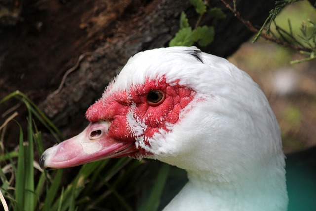 反观宜家此 反观宜家此