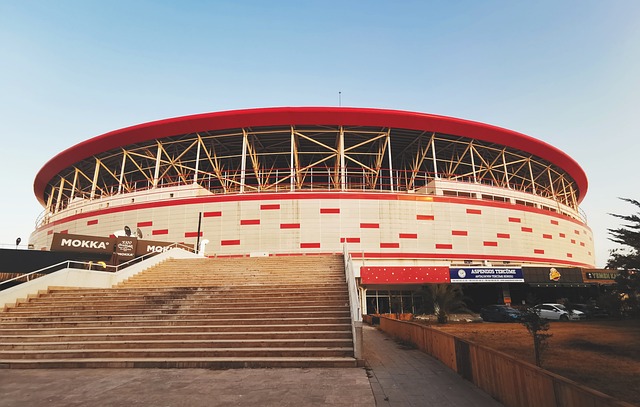 探讨丰塞卡 探讨丰塞卡