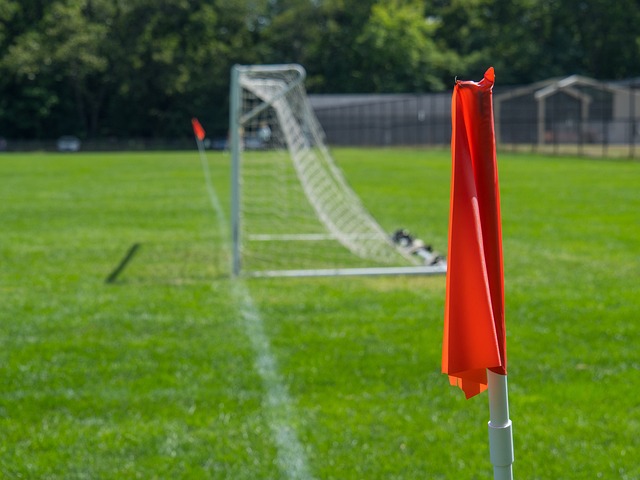 动潜力的一 动潜力的一