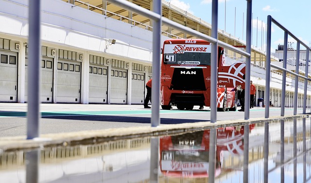 的赢家以 的赢家以